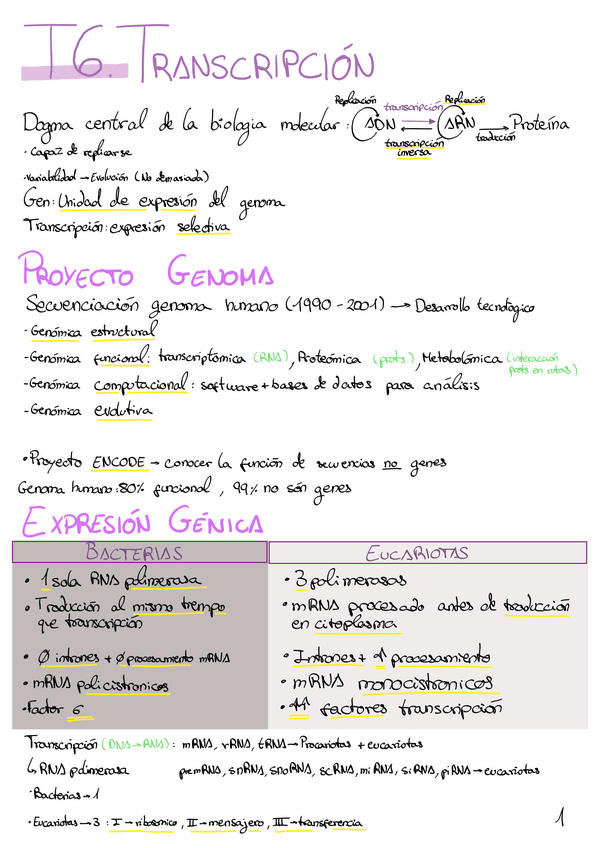 Miniatura del documento Resum-2n-parcial.pdf