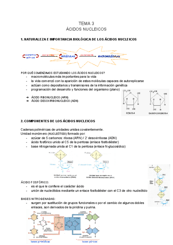 Miniatura del documento BIOQUIMICA-tema-3.pdf