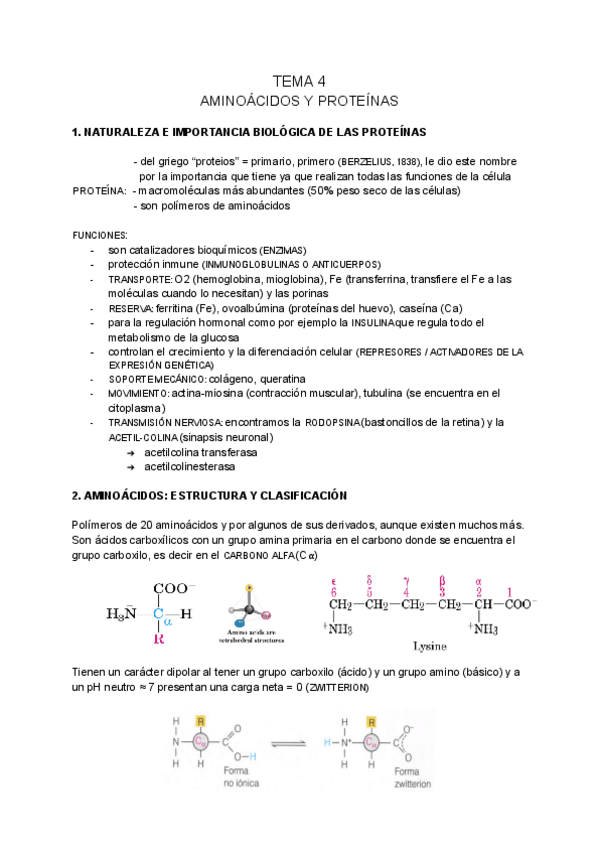 Miniatura del documento BIOQUIMICA-tema-4.pdf