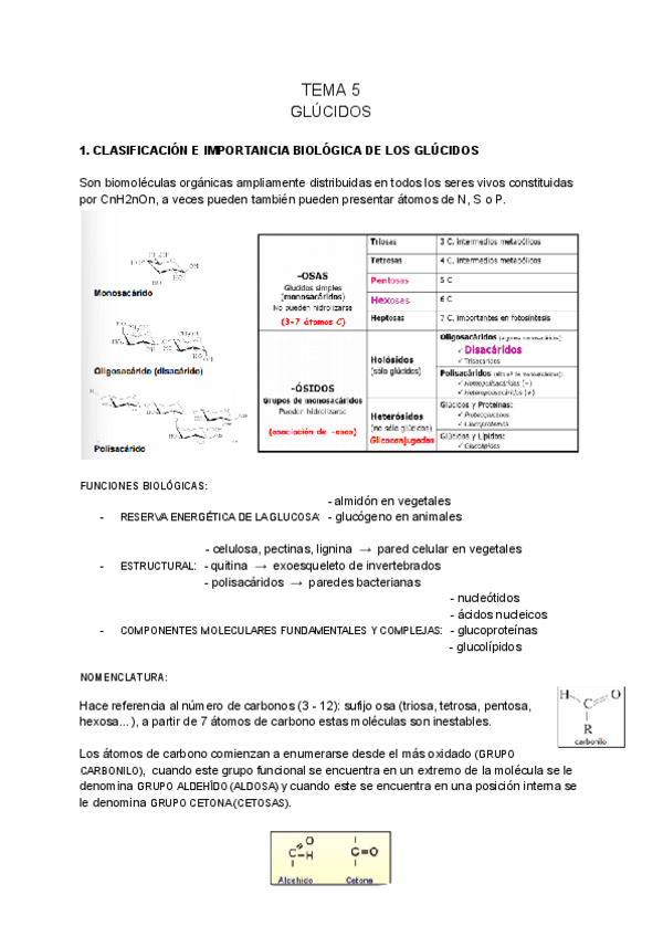 Miniatura del documento BIOQUIMICA-tema-5.pdf