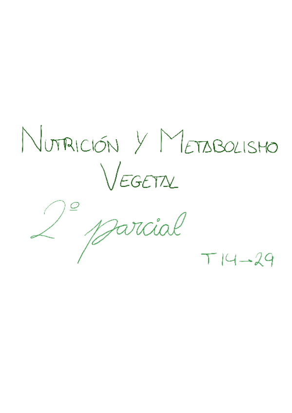 Miniatura del documento RESUM-2n-parcial.pdf