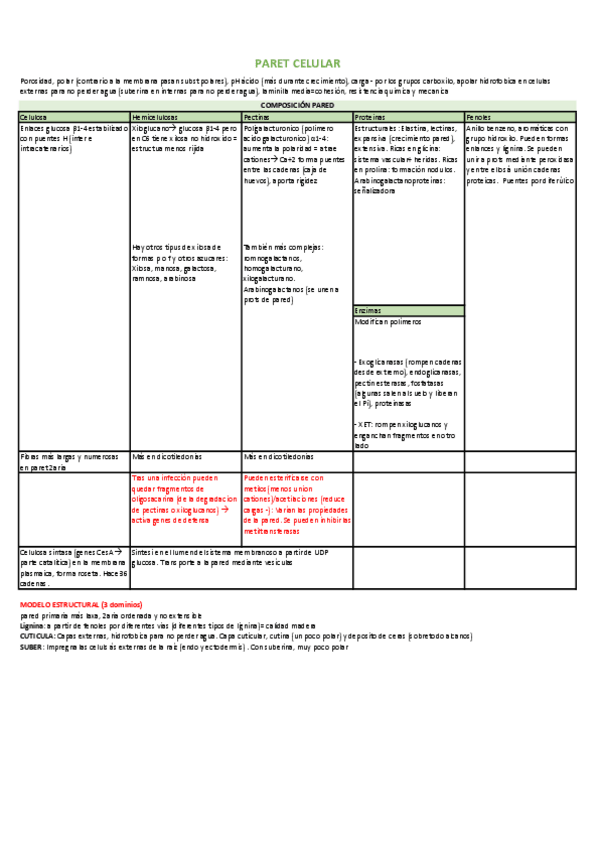 Miniatura del documento Resum-paret-celular.pdf