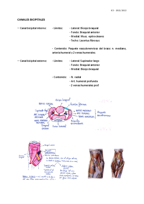 Miniatura del documento 1 PARCIAL-Cosas que faltan en ap.largos.pdf