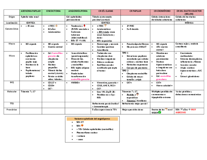 Miniatura del documento Tumores-renales.pdf