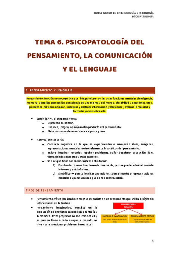 Miniatura del documento TEMA-6.-PSICOPATOLOGIA-DEL-PENSAMIENTO-LA-COMUNICACION-Y-EL-LENGUAJE.pdf
