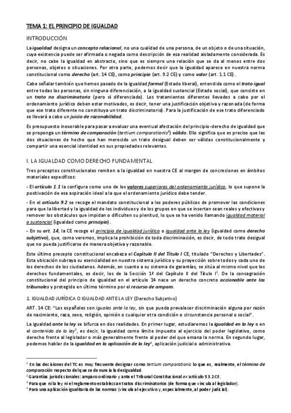 Miniatura del documento Tema 1. El derecho de igualdad.pdf