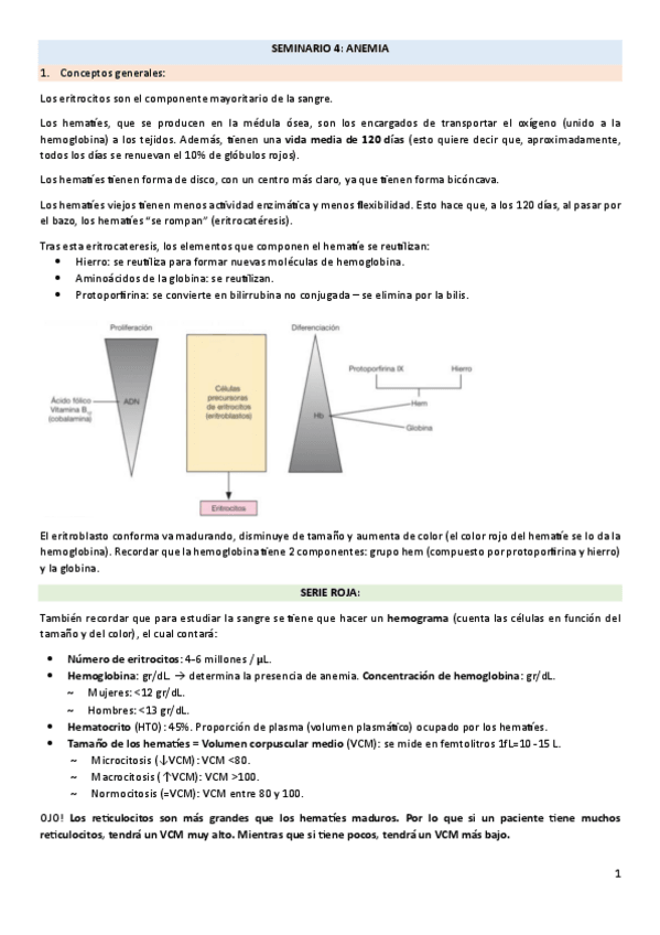 Miniatura del documento SEMINARIO-4-anemias.pdf