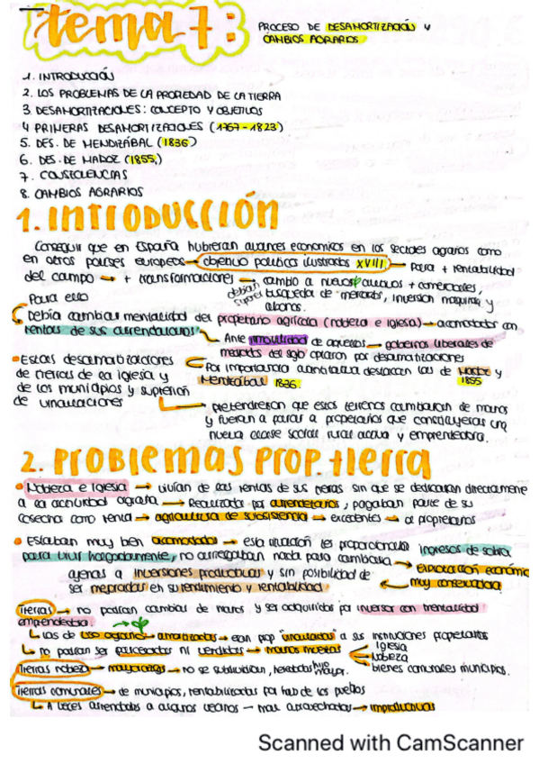 Miniatura del documento TEMA-7-DESAMORTIZACIONES.pdf