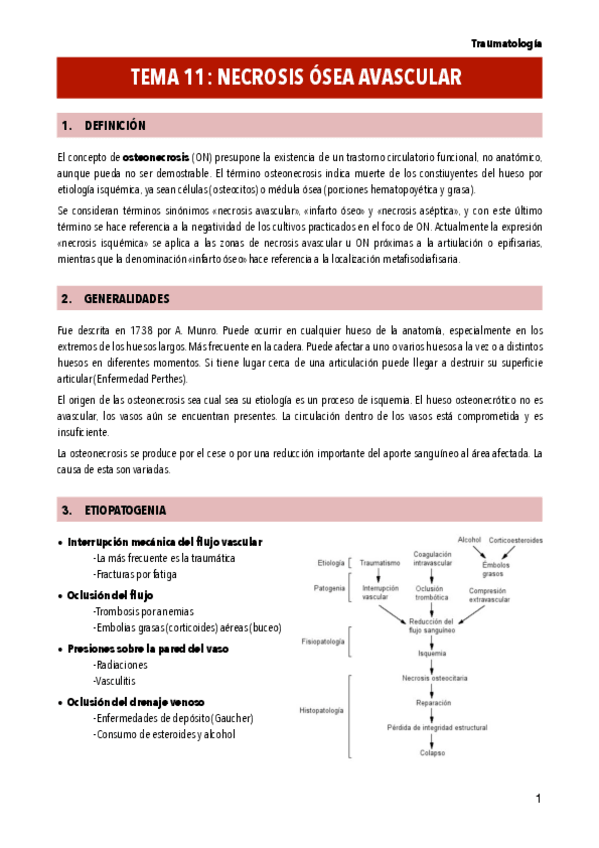 Miniatura del documento TEMA-11-NECROSIS-OSEA-AVASCULAR.pdf