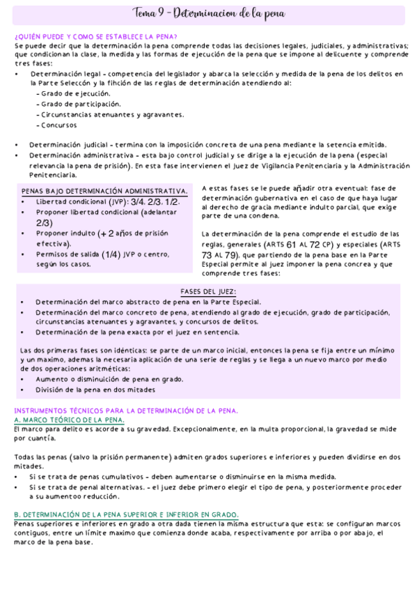 Miniatura del documento TEMA-9-DETERMINACION-DE-LA-PENA.pdf