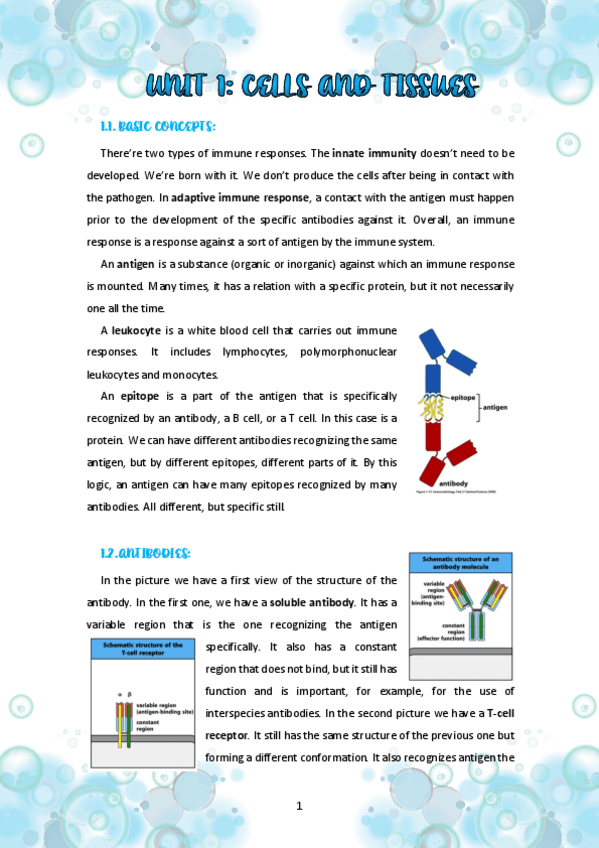 Miniatura del documento Apunts-parcial.pdf
