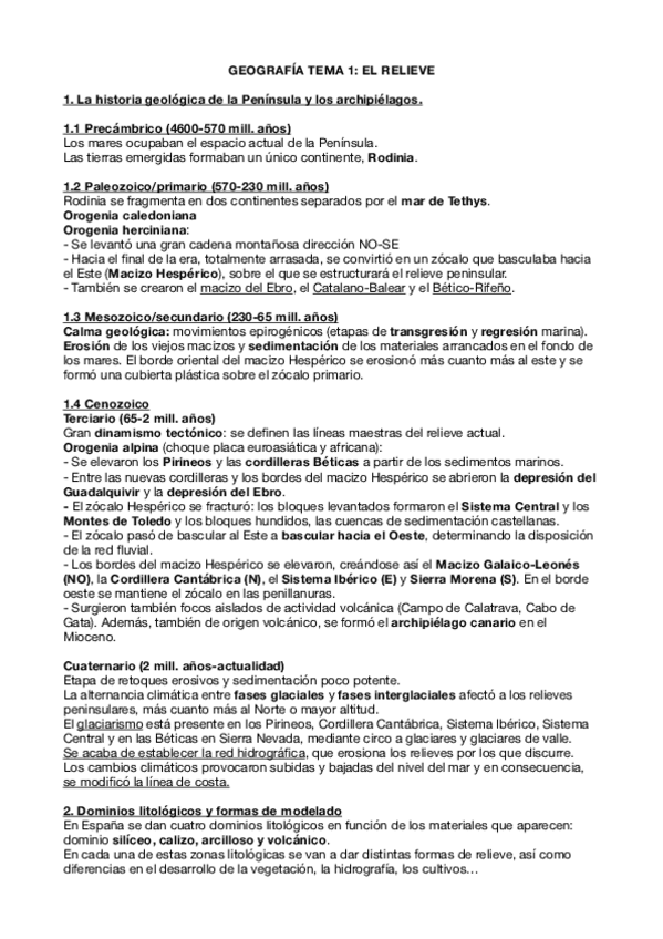 Miniatura del documento relieve.pdf