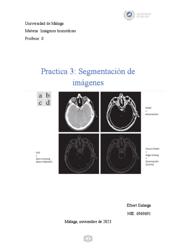 Miniatura del documento Practica3imagenesbiomedicas.pdf