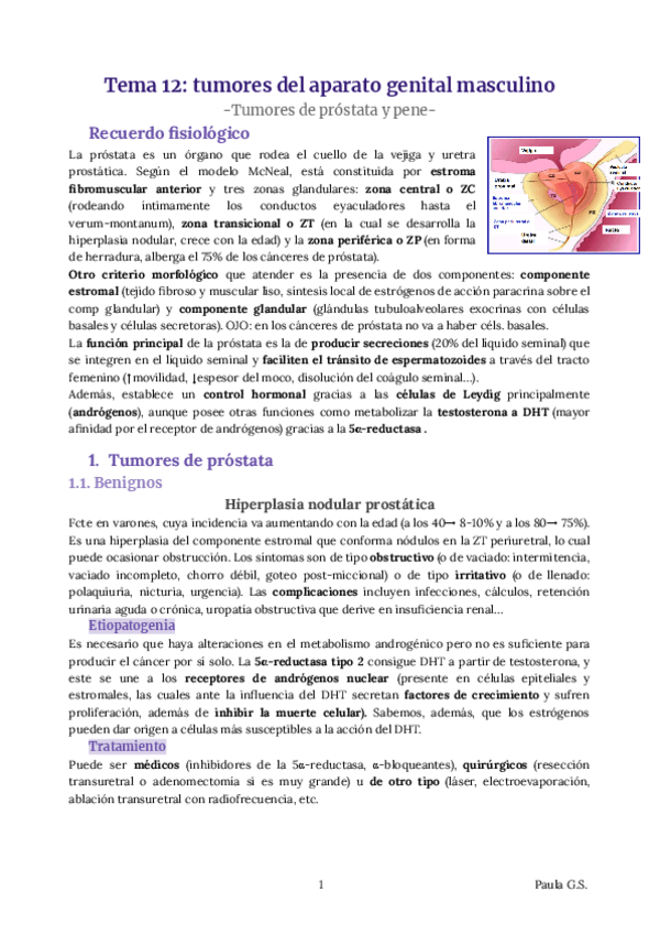 Miniatura del documento AP-TEMA-12-11-RESUMEN.pdf