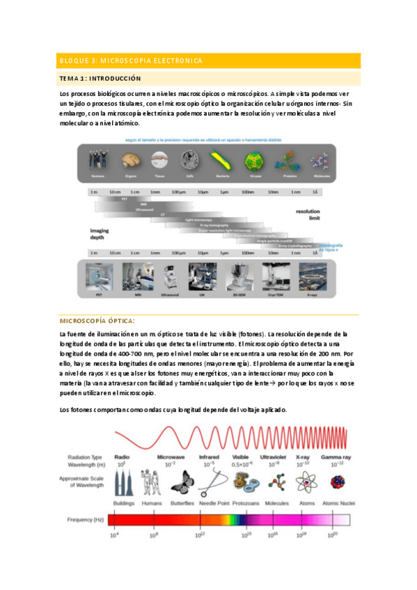 Miniatura del documento BLOQUE-3.-Microscopia-electronica.pdf