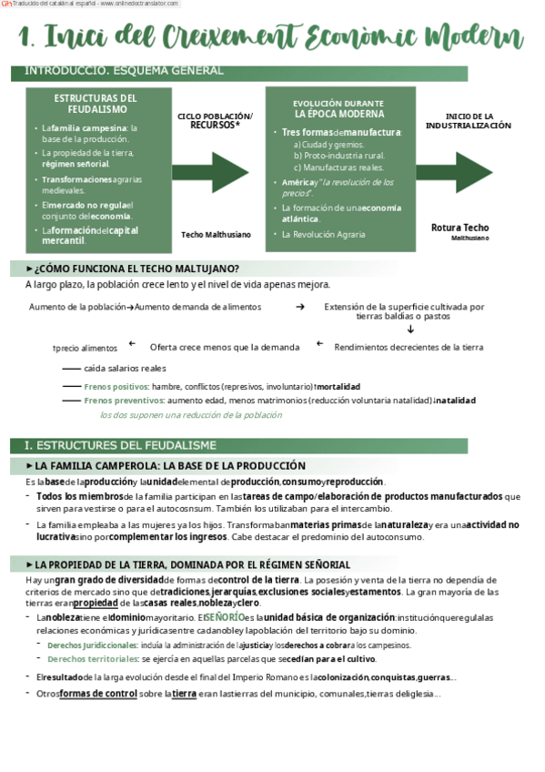 Miniatura del documento COMPLETO-HISTORIA.pdf