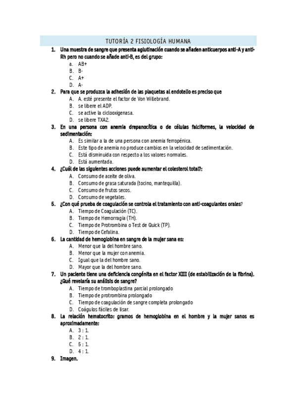Miniatura del documento Tutoria-2-2023.pdf