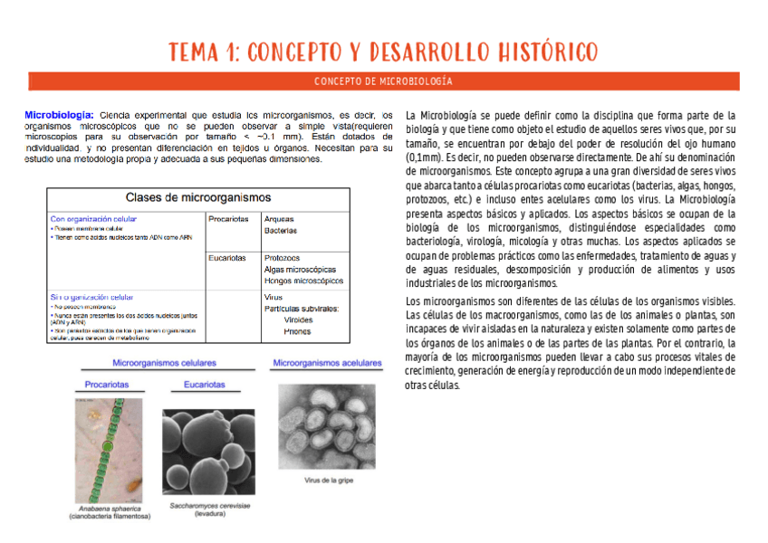 Miniatura del documento micro-tema-1.pdf