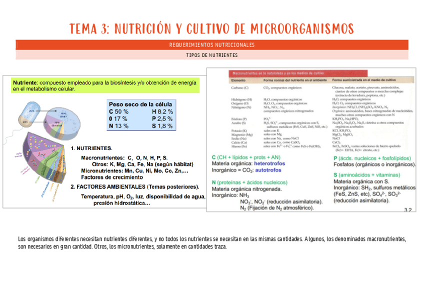 Miniatura del documento micro-tema-3.pdf