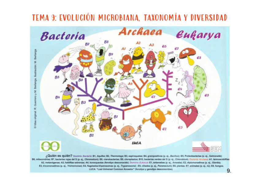 Miniatura del documento micro-tema-9.pdf