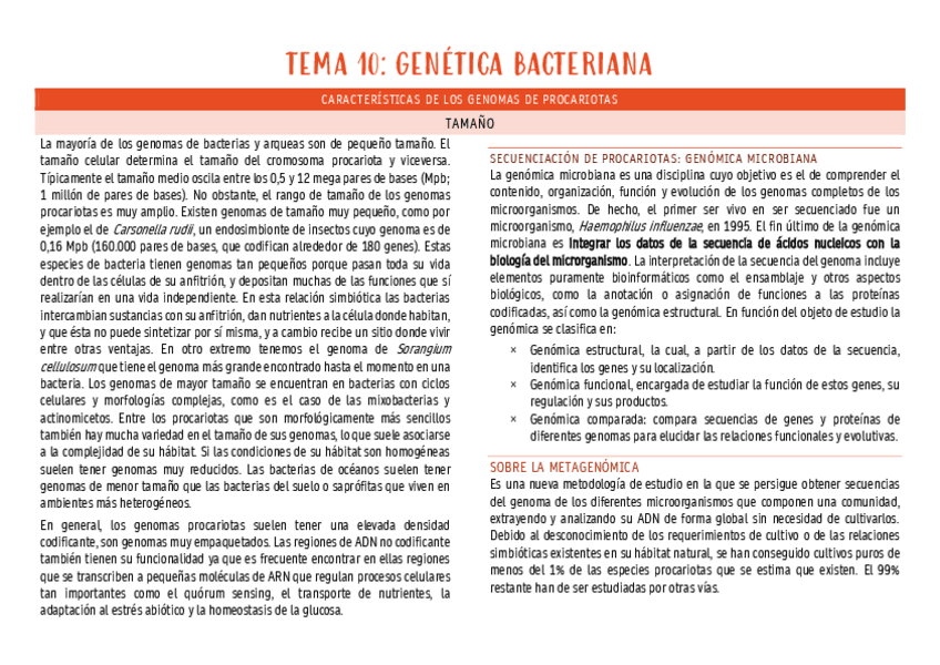 Miniatura del documento micro-tema-10.pdf