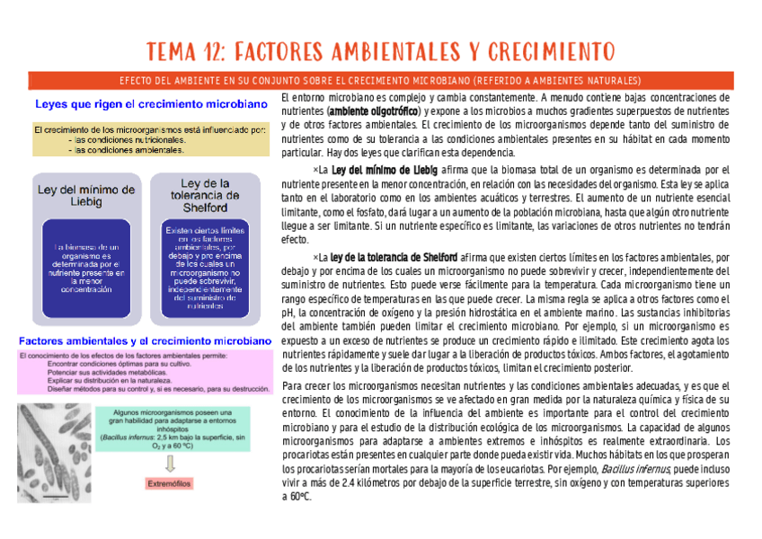 Miniatura del documento micro-tema-12.pdf