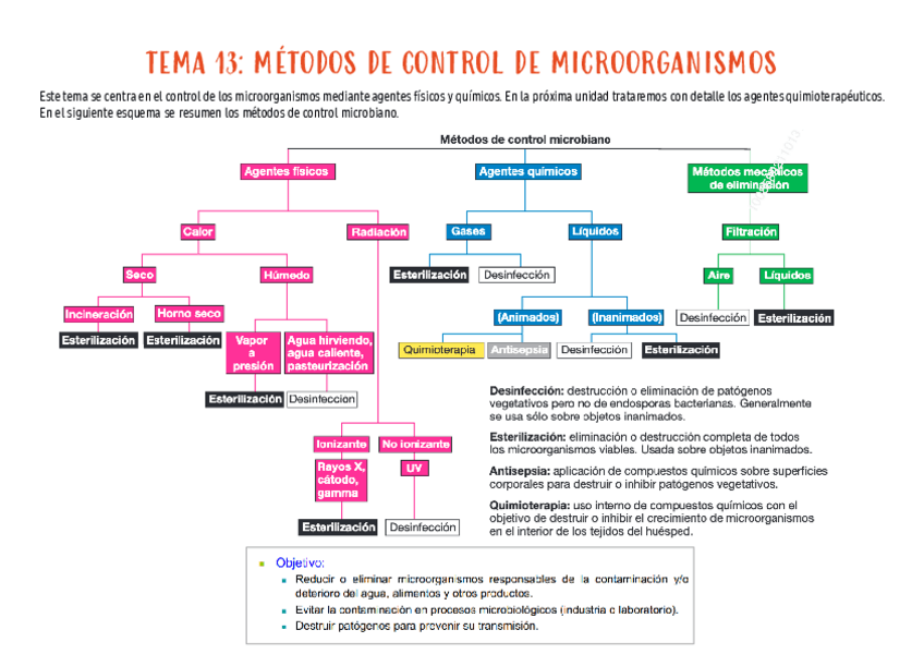 Miniatura del documento micro-tema-13.pdf