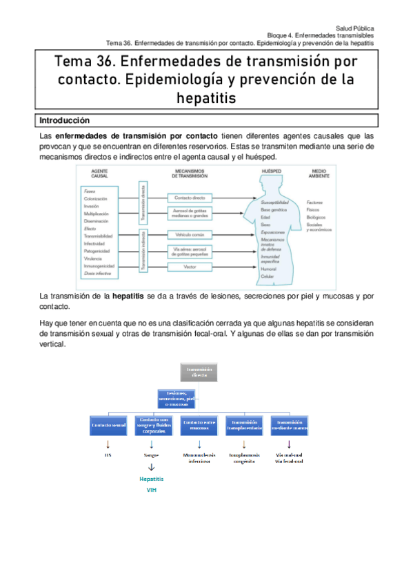 Miniatura del documento Tema-36-Enfermedades-de-transmision-por-contactoEpidemiologia-y-prevencion-de-la-hepatitis.pdf
