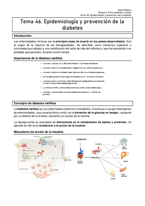 Miniatura del documento Tema-46.-Epidemiologia-y-prevencion-de-la-diabetes.pdf