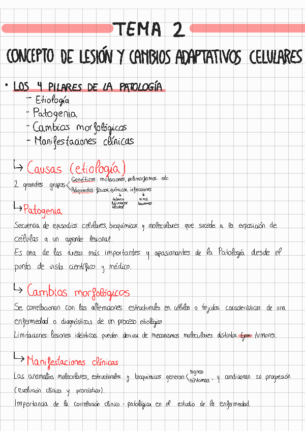 Miniatura del documento TEMA-2-ANATOMIA-PATOLOGICA.pdf