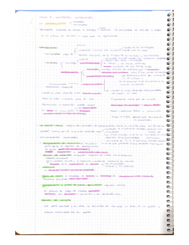 Miniatura del documento RESUMEN-TEMA-8-DERECHOS-FUNDAMENTALES.pdf