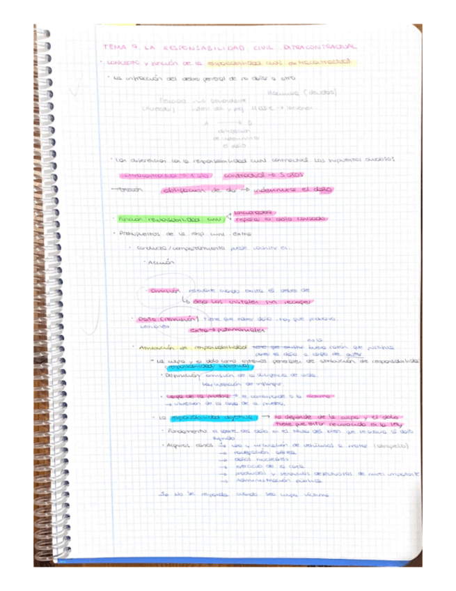 Miniatura del documento RESUMEN-TEMA-9-DERECHOS-FUNDAMENTALES.pdf