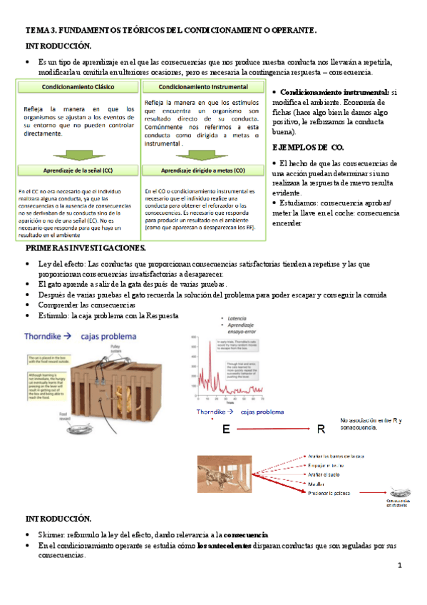 Miniatura del documento TEMA-3-apuntes.pdf