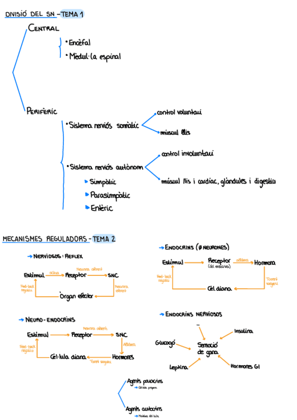 Miniatura del documento Esquemes-SN.pdf
