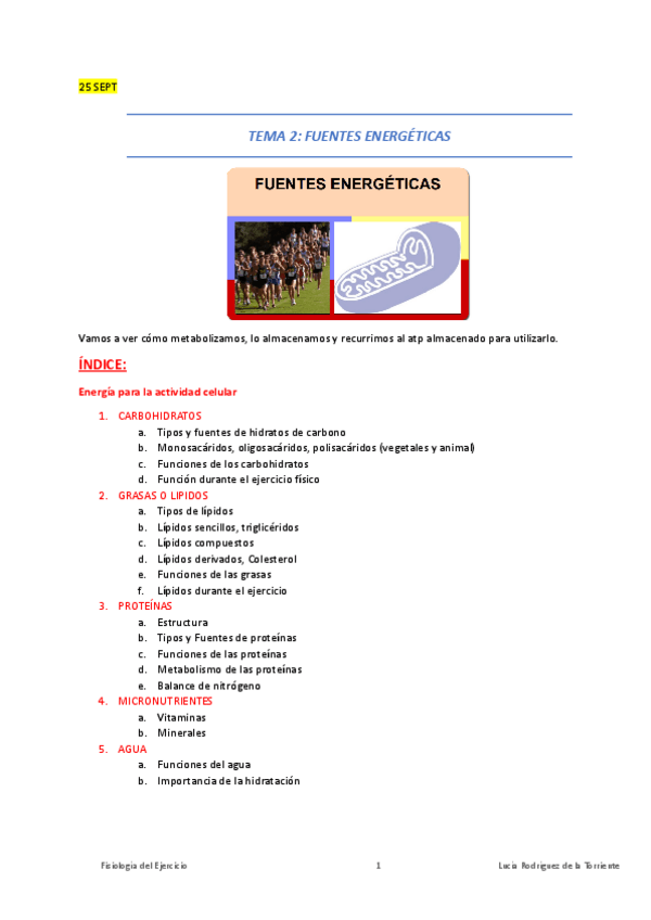 Miniatura del documento Fisio-Pilar-Energia.pdf