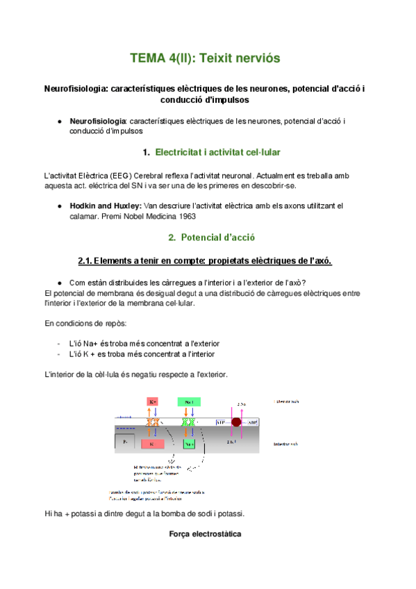 Miniatura del documento TEMA-4II-Teixit-nervios.pdf
