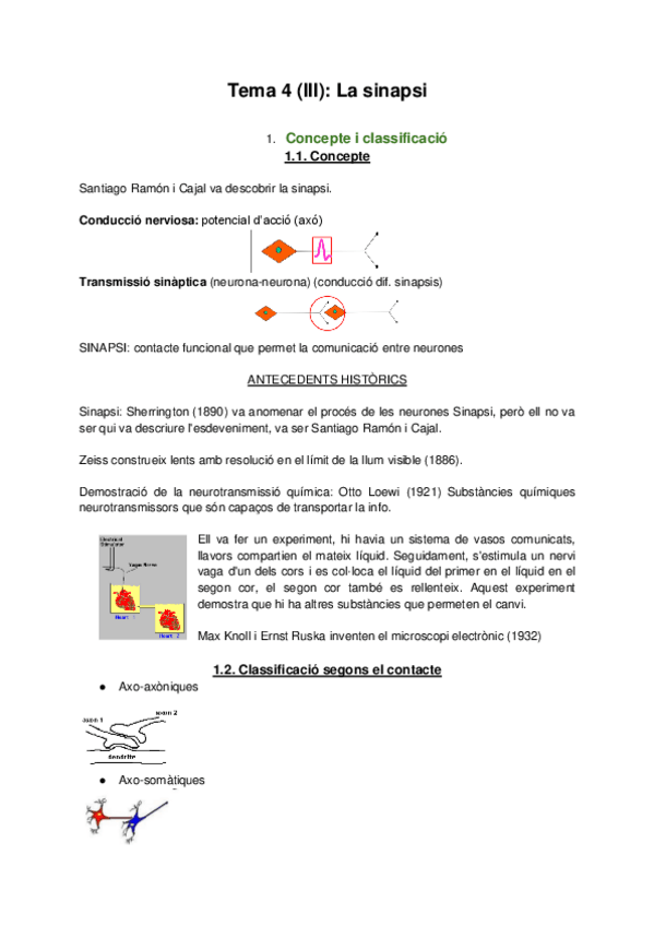 Miniatura del documento Tema-4-III-La-sinapsi.pdf