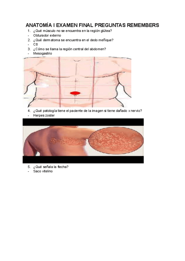 Miniatura del documento ANATOMIA-I-EXAMEN-FINAL.pdf