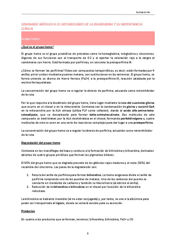 Miniatura del documento Guion-Seminario-M4.pdf