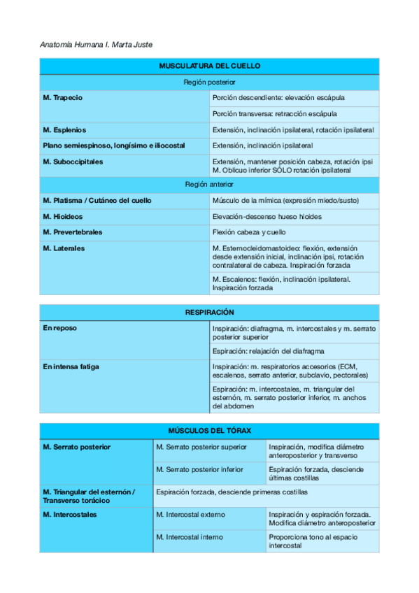 Miniatura del documento Tabla-movimientos.pdf