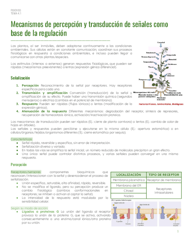 Miniatura del documento PAR2Tema-4.1-Senalizacion.pdf