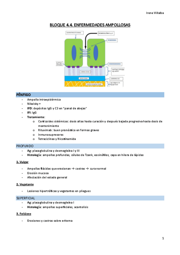 Miniatura del documento RESUMEN-ENFERMEDADES-AMPOLLOSAS.pdf