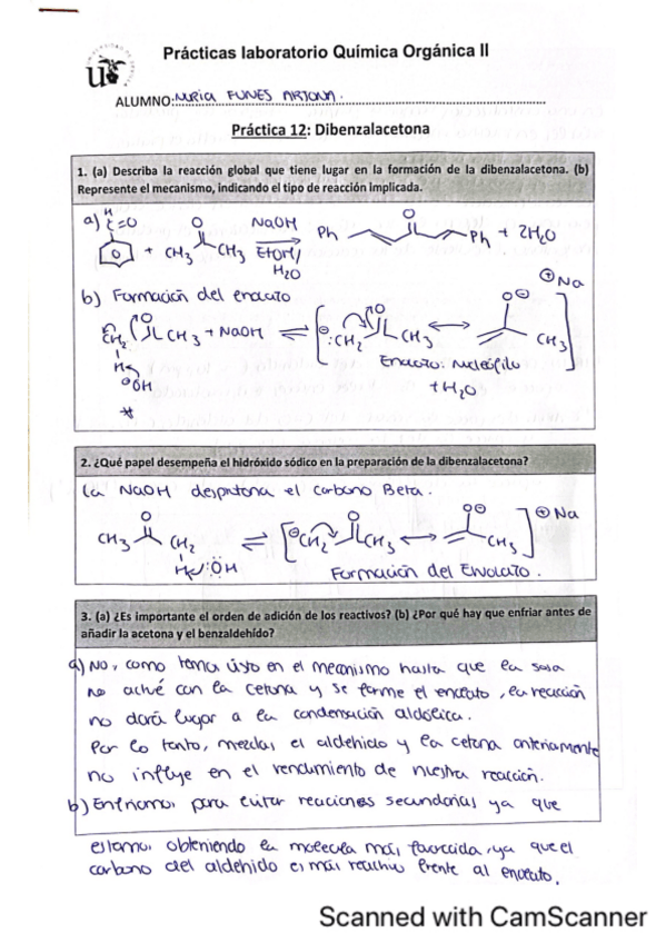 Miniatura del documento dibenzalacetona.pdf