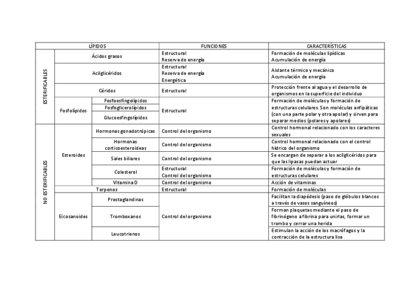 Miniatura del documento Lipidos-tabla-funciones.pdf