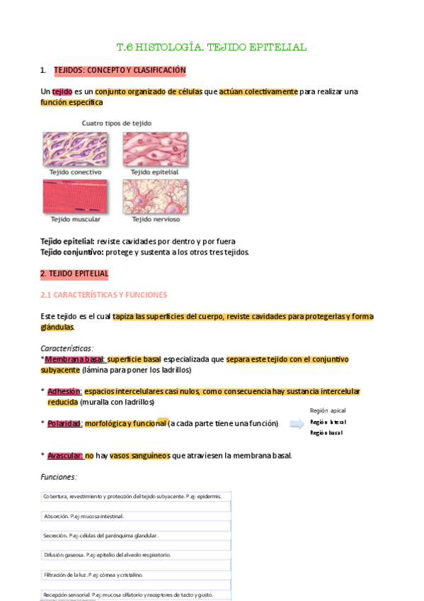 Miniatura del documento t.6-anato-pdf.pdf