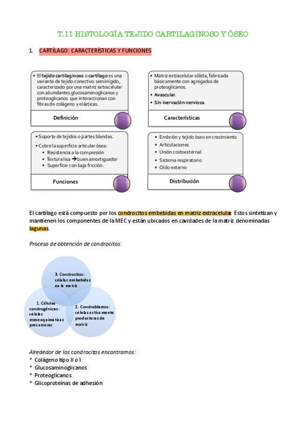 Miniatura del documento t.11-anato-pdf.pdf