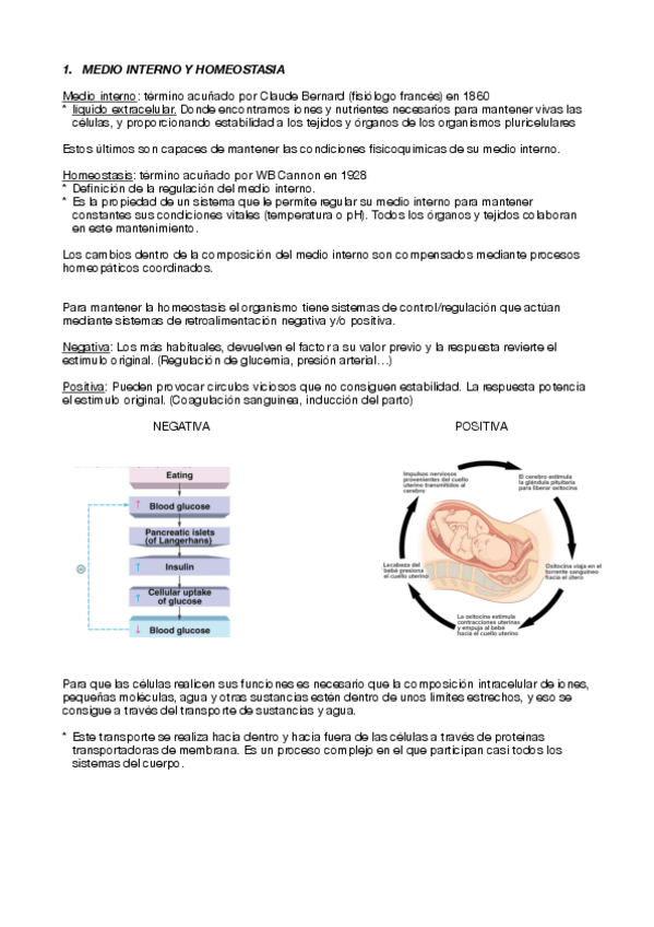 Miniatura del documento tema-2-anato....pdf