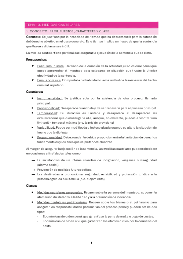 Miniatura del documento Tema-13-MEDIDAS-CAUTELARES.pdf