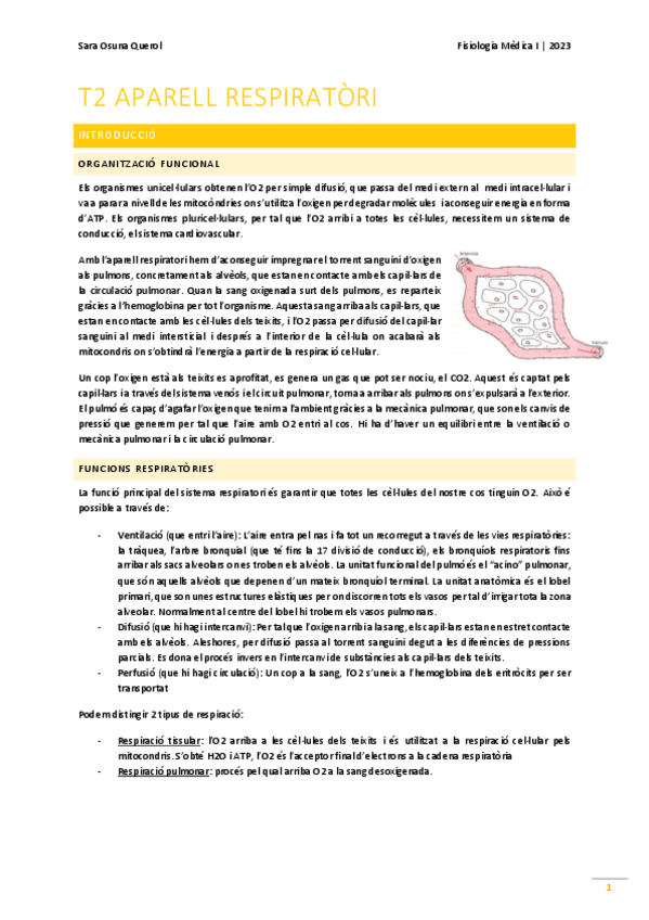 Miniatura del documento fisio respi - 2023.pdf
