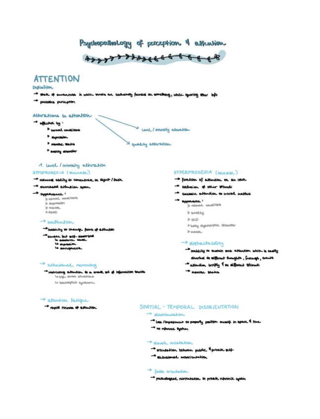 Miniatura del documento psychopathology-notes.pdf